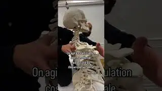 Tu veux lib&eacute;rer tes &eacute;paules ?