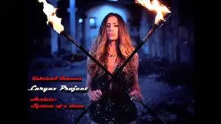 Larynx Project - Aerials opera voice cover