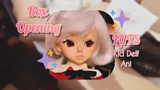 Luts Kid Delf Ani Box Opening