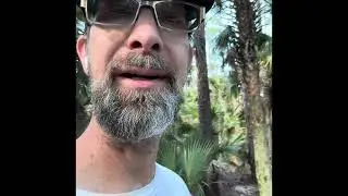 Plein air painting in Florida 