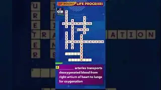 Puzzle-17 #LifeProcesses CBSE 10th Science Biology Term-1 |NCERT class 10 Most imp questions #Shorts