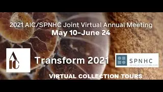 SPNHC 2021 Virtual Collection tour - The American Museum of Natural History, Herpetology
