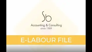 Sb Accounting & Consulting | HR Services and Solutions | e-File
