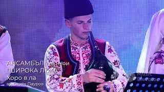 NUFI SHIROKA LAKA - HEY, MORI RUJKE | MUSIC ELEVATOR 2021