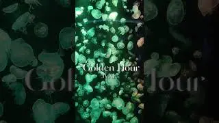 Golden Hour - JVKE (cover) | CIZI