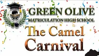 Camel Adventure | Feeding & Ride Experience