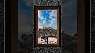 Canon EOS R8 Creator's Kit Winter Photos