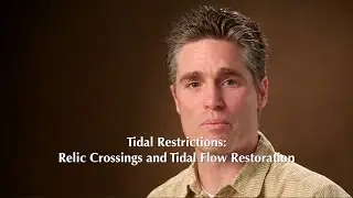 Tidal Restrictions: Relic Crossings and Tidal Flow Restoration with Franz Ingelfinger