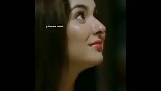 meme 2