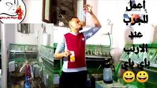 باي باي اللي جرب الارانب نفذ التعليمات وجبت لك علاج سحري مش هتشوفه ثاني في المزرعه👉
