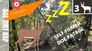 Archery Kill (Doe Down) - Tennessee Private Land Hunt