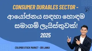 📌 CSE: Consumer Durables Sector: Overall analysis of Financial Performance: Sinhala: EP- 08