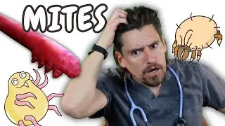 Mange!!   Dr. Dan talks about Demodex and Sarcoptic Mange.