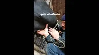 ازاى تدى حقنة وريد | كيفية زرق الحقنة فى الوريد | اعطاء ابرة | كيفية اعطاء حقن وريدى بطريقة صحيحة