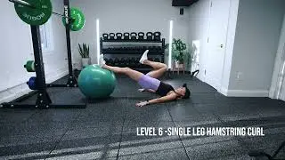 Stability Ball Hamstring Curl Series