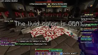 Chill Hypixel skyblock gameplay!