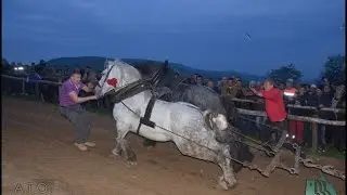 ŠTRAPARIJADA IZAČIĆ 15.04.2017. - ZIS ŠAMPION