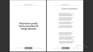 Janko Polić Kamov, Poezija