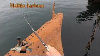 Sketchy moment while fishing Halifax harbour (don&rsquo;t try this at home)