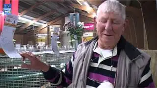 11e Vechtdalshow voor kleindieren.