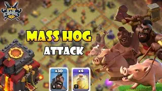 3 STAR EVERY BASE!! Mass Hog Attack Th10 | Best Th10 Attack