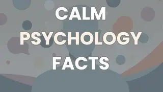 Mind Relaxing Psychology Facts That Feel Strangely Comforting
