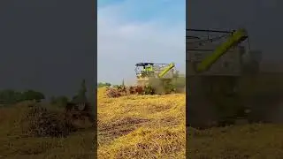 combine status #harvester #harvestermachine #combineharvester #combine #trending #shorts