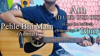 Pehle Bhi Main | Animal | Easy Guitar Chords Lesson+Cover, Strumming Pattern, Progressions...