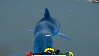 Feed & Grow Fish Baby Tiger Shark Vs Great White Shark