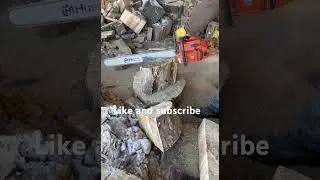 266 xpg cutting cookies