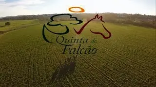 Quinta do Falcão, o local ideal para o seu evento