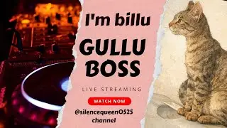 Queen of silence  is live!