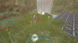Live Ark Madhouse/25x/nowipe
