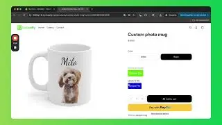 Upload field button targeting (Show on products, variants & collections) - Shopify store