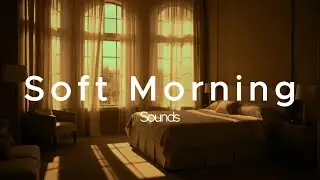 soft soul r&b relaxing playlist | gentle music for calm mornings & slow living