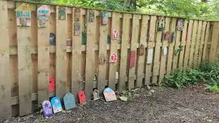 Knockma Forest Trail Hike Co. Galway