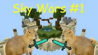 Sky Wars