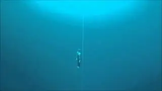 CNF Dive, Bahamas 2015 Freediving