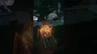 another jump scare in Elden Ring😳😖 #eldenring #eldenringgameplay #eldenringclips #jumpscare #scared