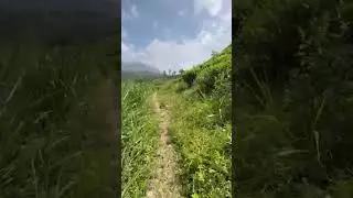 St.Clair waterfall 🍃 🌍🚶&zwj;♂Thalawakele  #travel #viral #nature #top #shortvideos #fypシ
