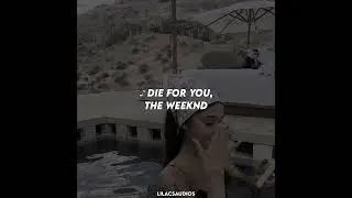 -[41s -  soft, ship][♪ - die for you by the weeknd]-#lilacsaudios_ship #lilacsaudios_soft