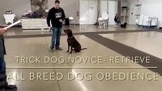 AKC Novice Trick Dog Testing - Retrieve