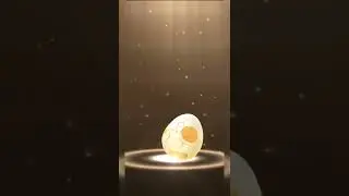 5km Egg Hatch on Pokemon Go