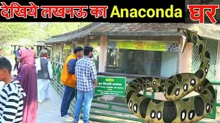 Lucknow Zoo || Anaconda House || देखिये अजगर वाला घर कैसा होता है