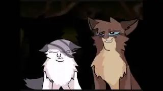 Hawkfrost and Ivypool MAP: Partners in Crime (Part 12)
