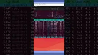 🖥️ Обзор интересных команд в Linux - Part 1