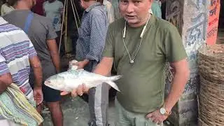 FISH EXPORT BUSINESS📞: +91-8637391230 | SEA FOOD SUPPLIER INDIA