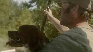 Dove Hunting Along the Yadkin River in Central North Carolina
