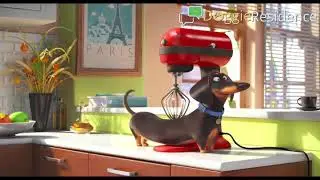 DoGGie ResidenCe | Dog Training Forum