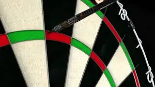WINMAU Professional dartboard set - dartboard set for teenagers and adults